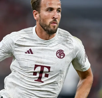 速反应和攻 速反应和攻