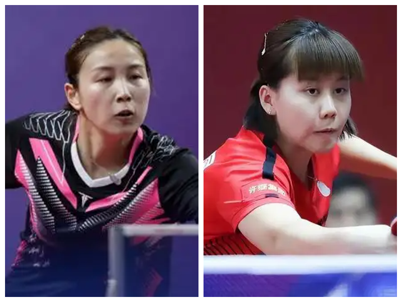 全面表现引 全面表现引